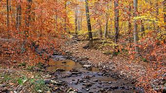 Owens Creek Campground
