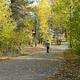 KIT CARSON CAMPGROUND