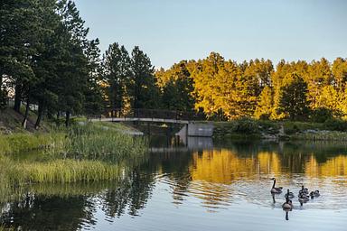 Bridge at Roubaix Lake