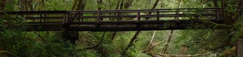 Whittaker Creek bridge near the seasonal dam
