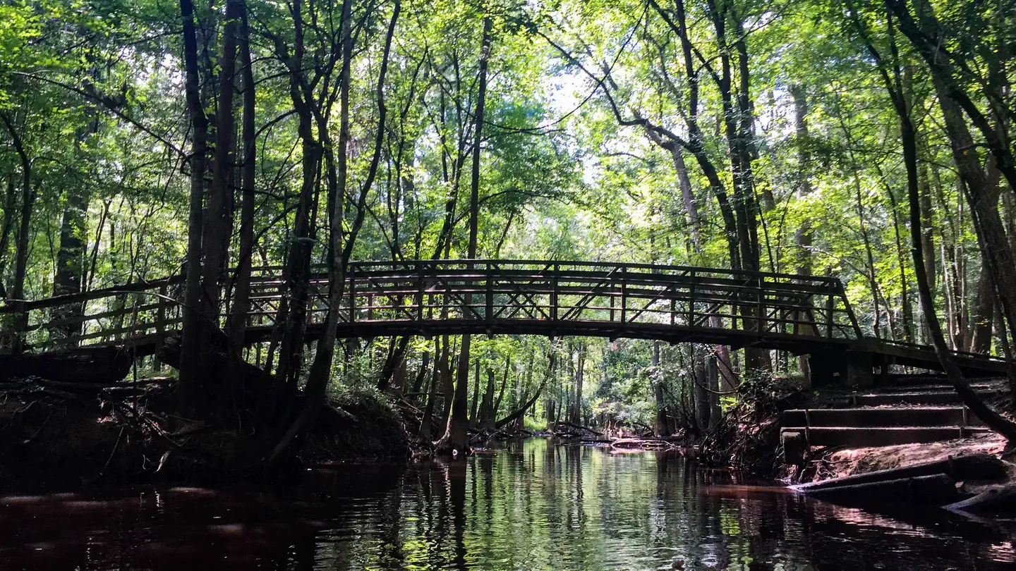 Longleaf Campground