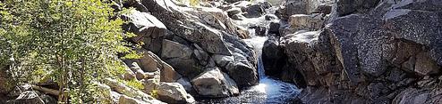 North Fork (CA)
