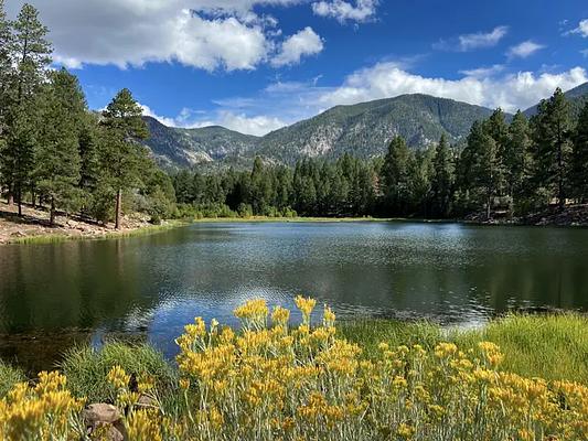 Cabin, Loop: Pine Valley