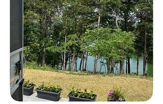 Lakeview Oasis