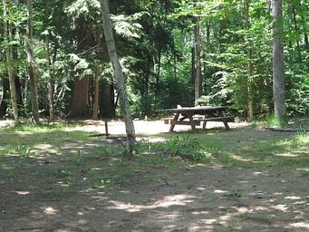 LITTLE BASS LAKE CAMPSITE 1