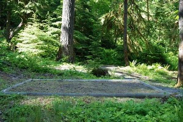 A001, Loop: AREA NORTH FORK ELK GROUP