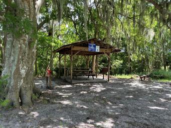 Seminole Ranch Conservation Area Hatbill SJRWMD