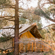 Close view of a canvas tent cabin set among trees with a wooden deck — represents the wooded tent accommodation style offered at the site.