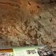"Wall of Dinosaur Bones"  
