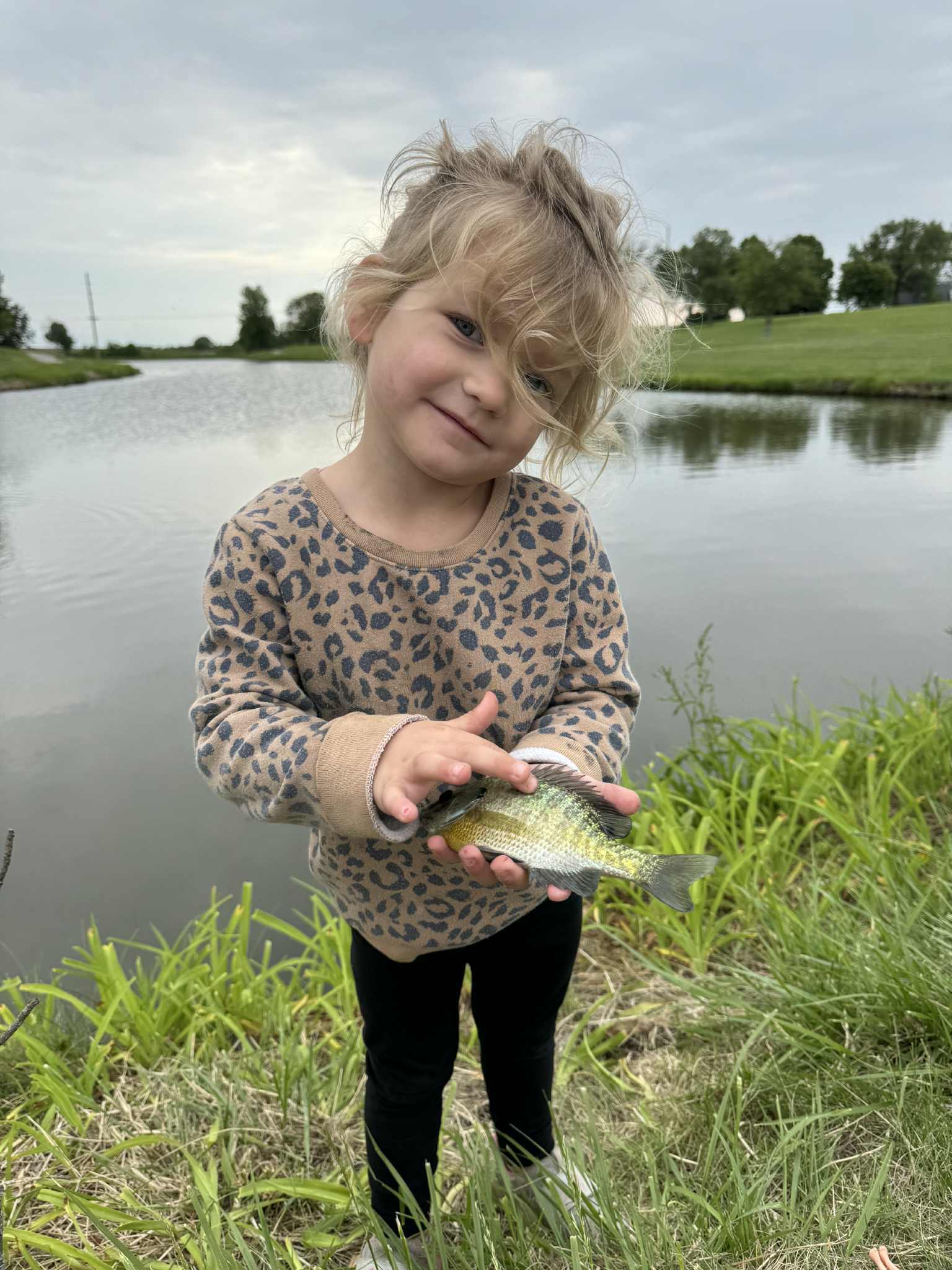 Haven Hills Campground & Resort, Aldeo, Illinois
