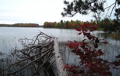 Sailor Lake fall colors.