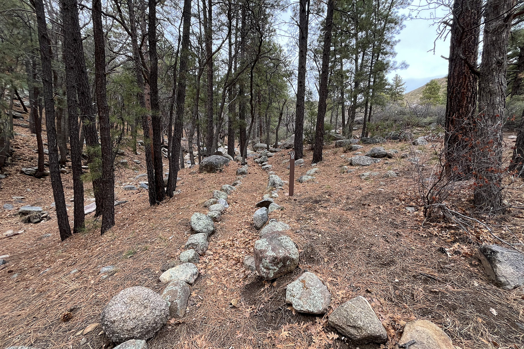 Wild Cow Springs Campground