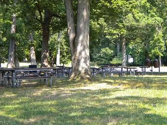 Multiple picnic tables surrounded by trees located in Picnic Area B3