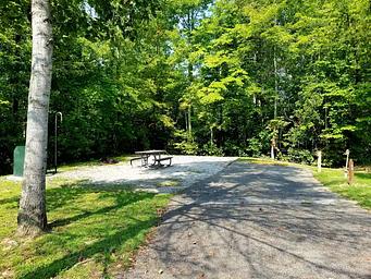 Picnic table sits on gravel tent pad under the shade of a nearby tree.