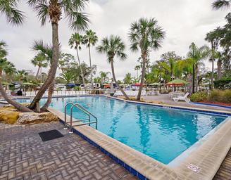 Encore Tropical Palms