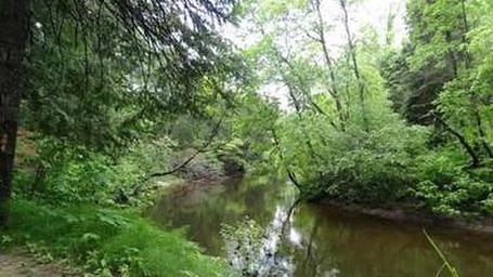 Carp River Campground