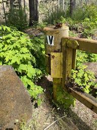 1, Loop: Camp