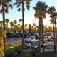 Ground-level/upper-level photo framed by tall palm trees overlooking parked RVs and individual sites; good depiction of campsite atmosphere, landscaping and site arrangement as shown on the property’s gallery/background images.