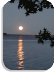 Night/moonlight reflection on Castle Rock Lake framed by tree branches — atmospheric shot of the resort’s waterfront at dusk (used on the site to illustrate the lakefront scenery).