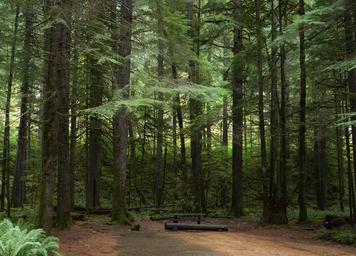 North Fork Campsite
