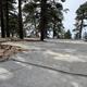Gravel overflow parking in a pine tree forest.