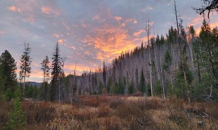 Pike's Fork Meadow Sunset_edited.jpg