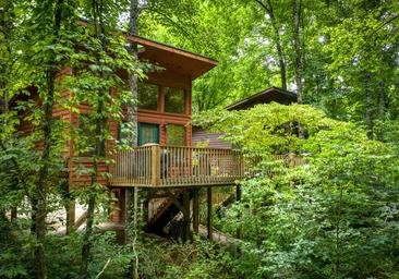 River's Edge Treehouse Resort