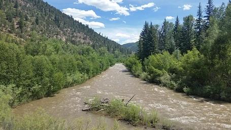 San Miguel River: Lower Beaver Creek