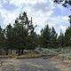 South Steens Campground