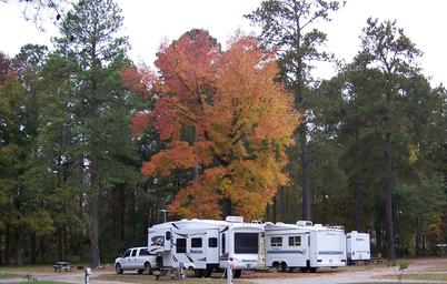 Wide-format scenic view of RVs parked beneath tall trees with autumn foliage — provides an overall sense of the campground setting and wooded sites (used as a background image on the campground page).