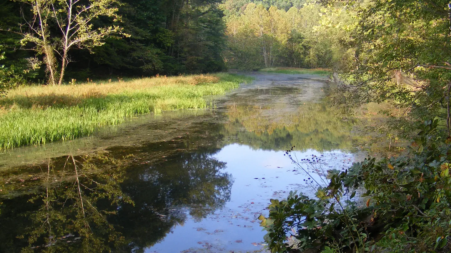 Chopawamsic Backcountry Camping Permits