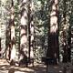 Pine Glen Campground