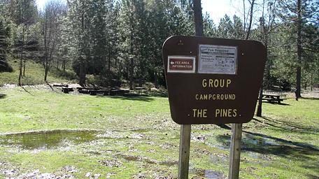 PGS, Loop: AREA PINES GROUP/STANISLAUS