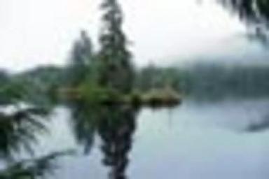 SARKAR LAKE CABIN