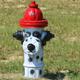 Campspot slideshow image 5