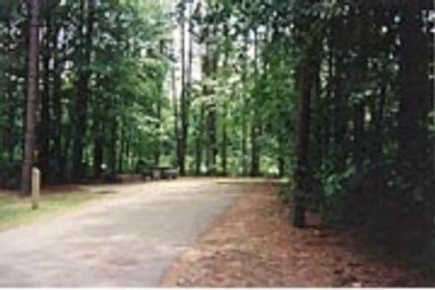 Dam Site River (Beaver Lake)
