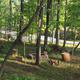 Campspot slideshow image 2