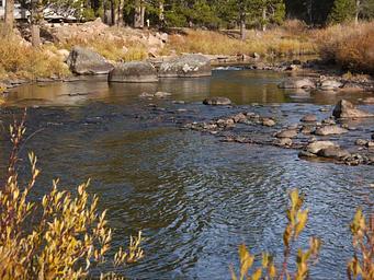 Prune Creek