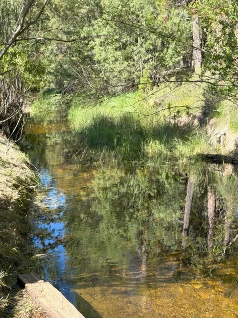 Hidden Creek RV Park