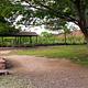 A grassy area. A couple of trees are in the area. A pavilion with picnic tables is in the background.
