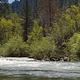 North Fork Yuba River