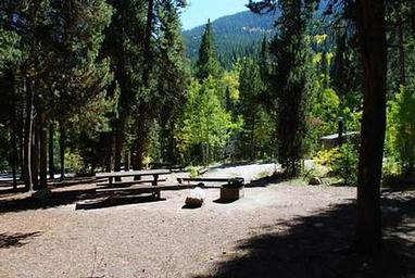 Campsite surrounded by trees