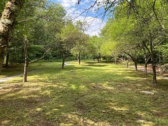 Moosalamoo paths and recreation space