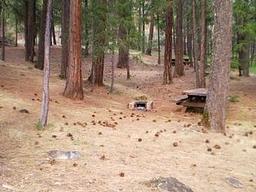 Stoney Group Shasta-trinity