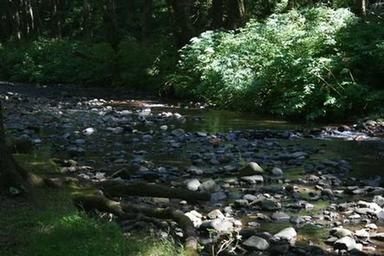 ROCK CREEK - SIUSLAW