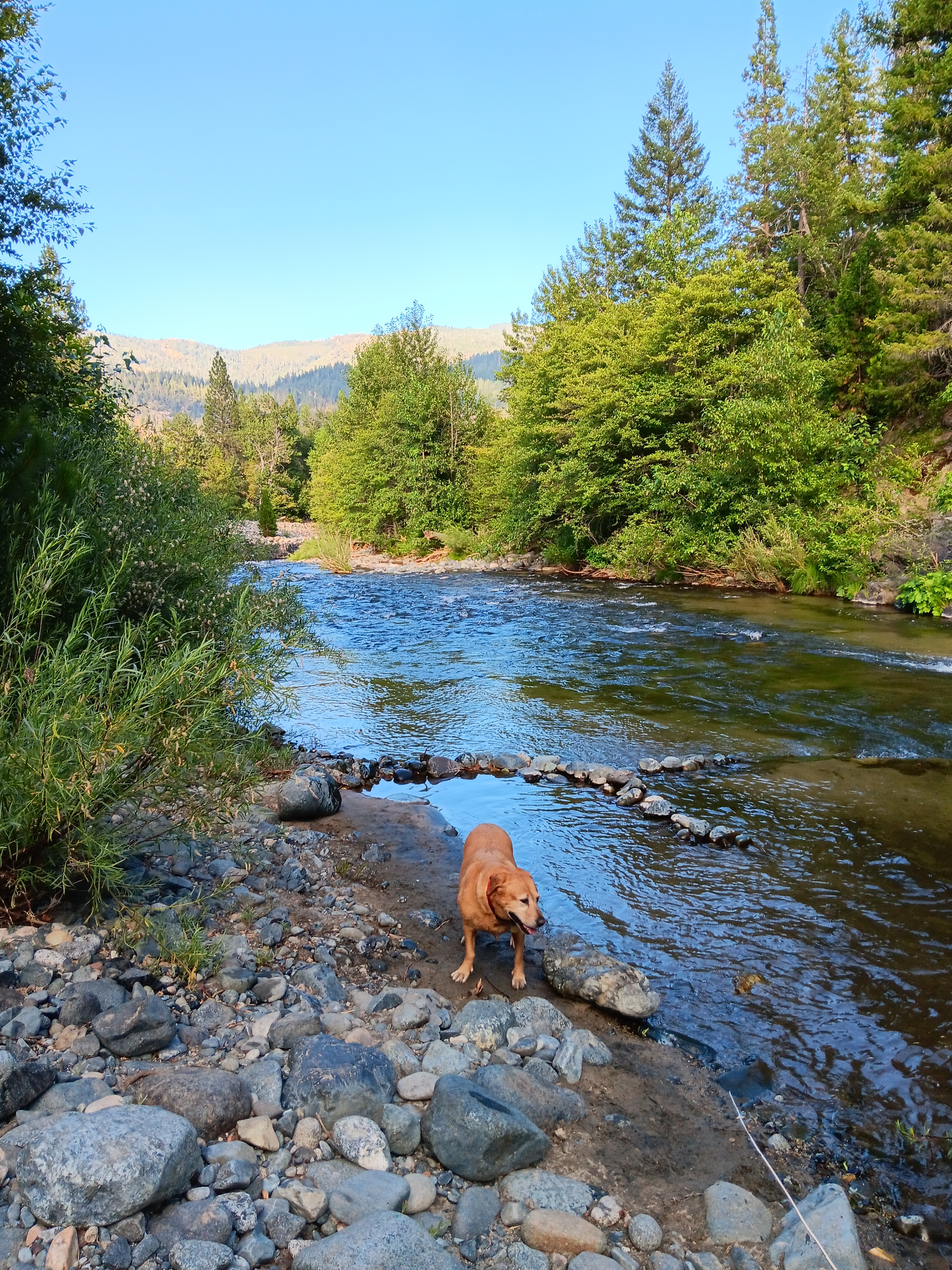Coffee Creek Campground & R.V. Park