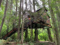 Iron & Vine Luxury Treehouse
