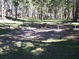 Upper Fir Group Area