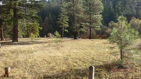 Halfway Flat Campground Site 8