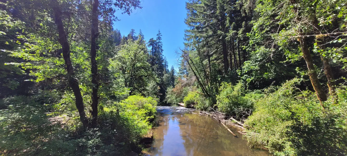 Alsea Falls Recreation Site (Campground)
